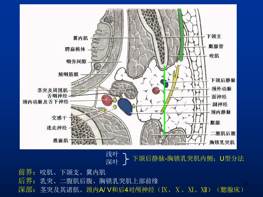 腮腺病变影像参考课件.ppt_第3页