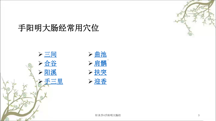 针灸学4手阳明大肠经课件.ppt_第3页