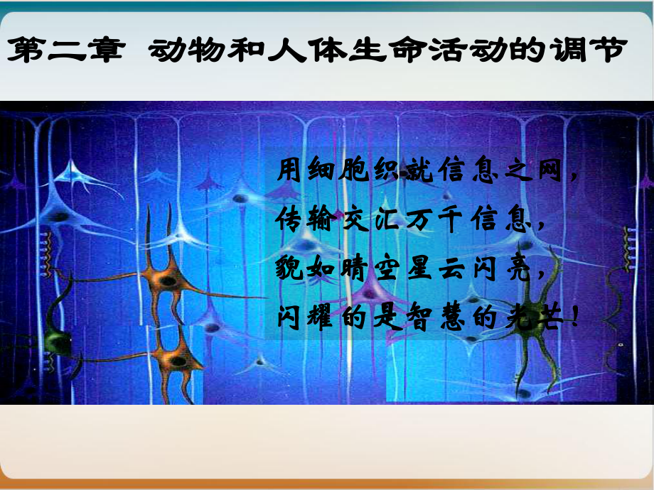 通过神经系统的调节第一课时实用版课件.ppt_第3页