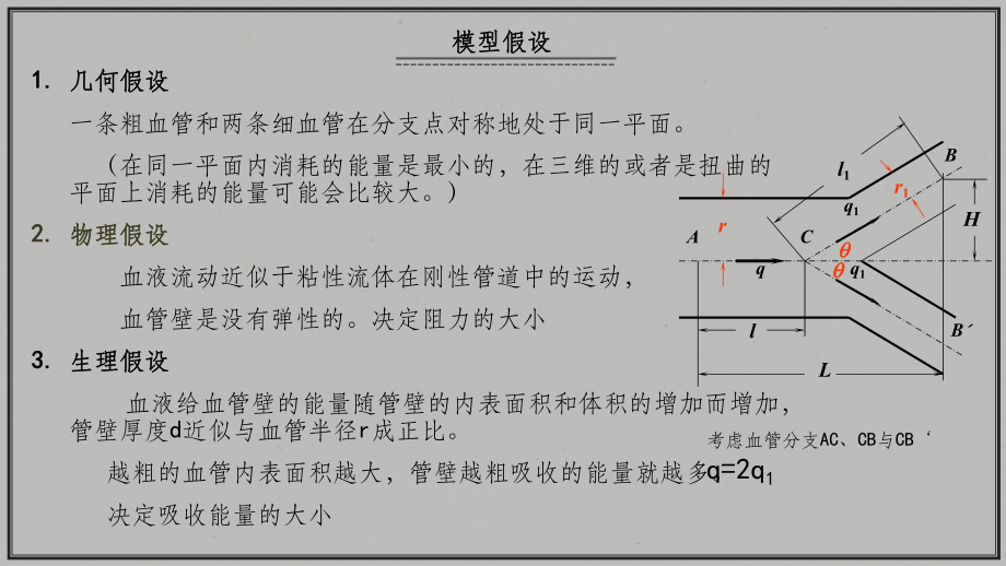 血管分支模型课件.ppt_第2页