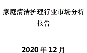 家庭清洁护理行业市场分析报告课件.pptx