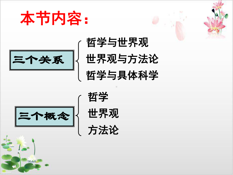 人教版-关于世界观的学说优秀课件.ppt_第2页