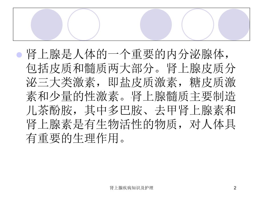 肾上腺疾病知识及护理培训课件.ppt_第2页