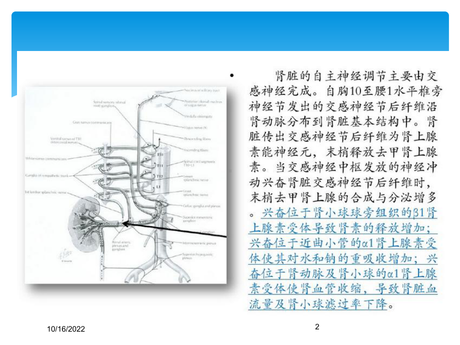 肾动脉交感消融术治疗原发性高血压培训课件.ppt_第2页