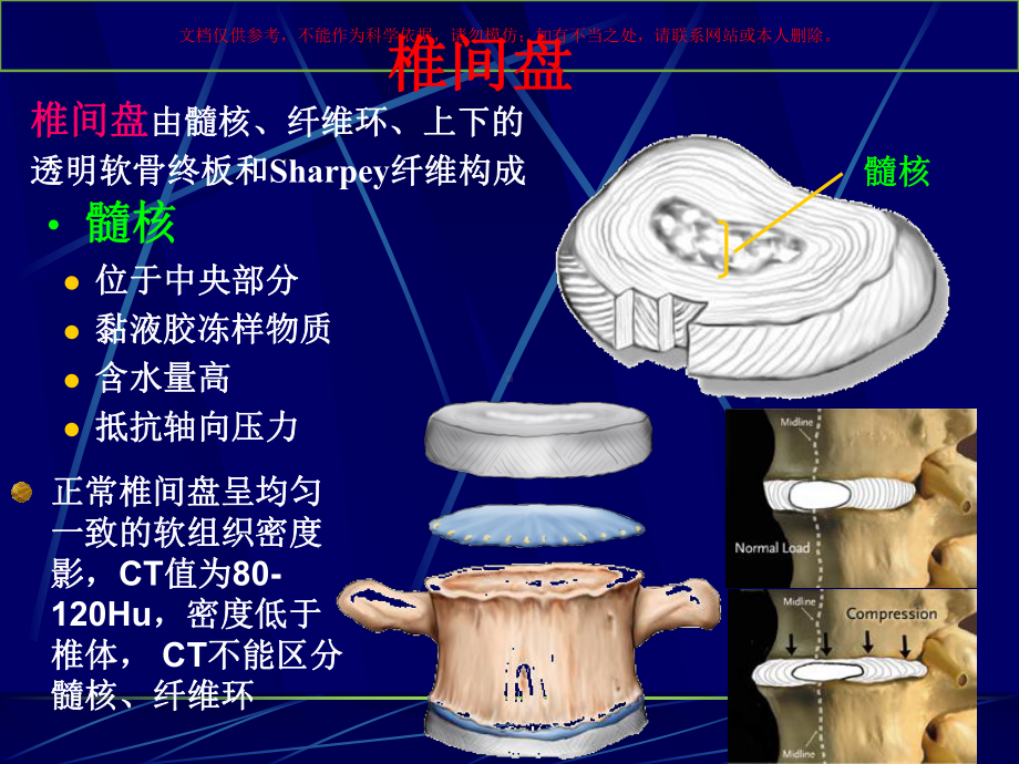 腰椎影像解剖及常见病变培训课件.ppt_第2页