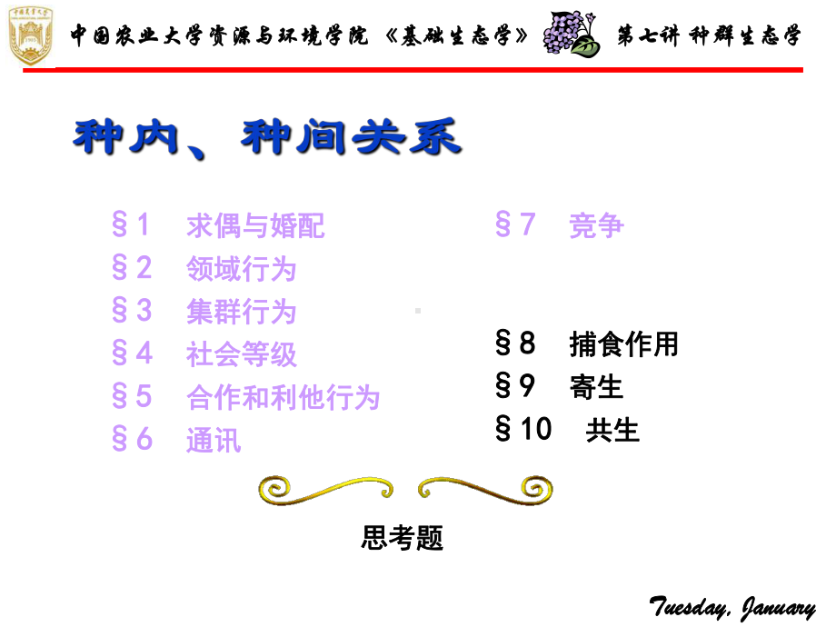 种群生态学五课件.ppt_第3页