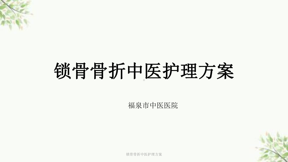 锁骨骨折中医护理方案.ppt_第1页