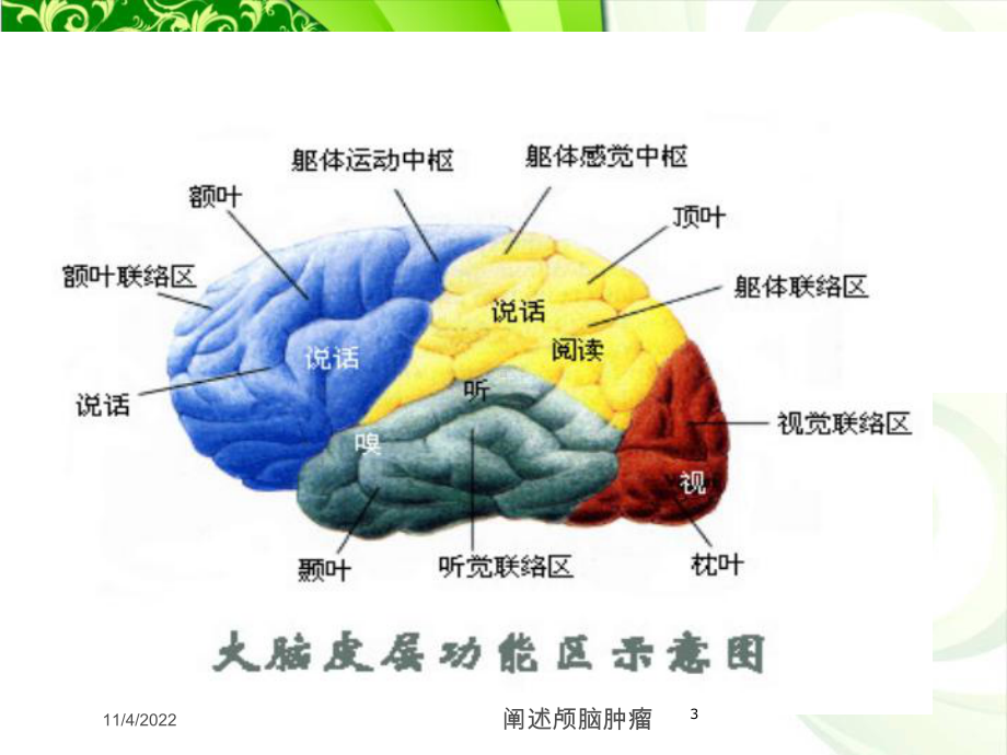 阐述颅脑肿瘤培训课件.ppt_第3页