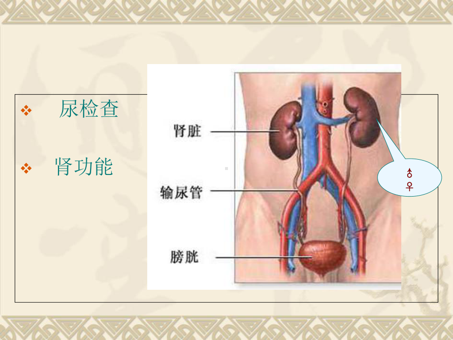 肾内科常用的实验室检查课件.ppt_第2页