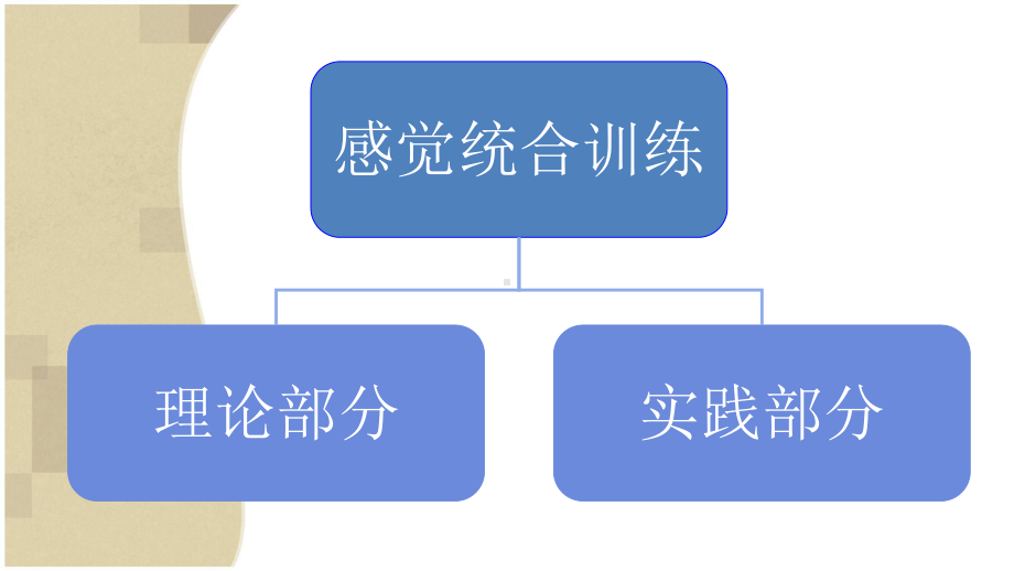 感觉统合训练项目的实施策略课件.ppt_第2页