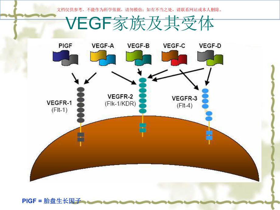 靶向治疗专题知识讲座课件.ppt_第2页