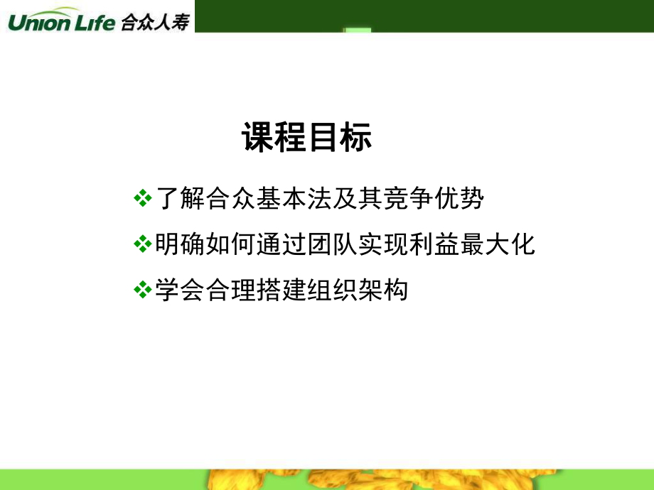 某人寿基本法分析72张课件.ppt_第2页