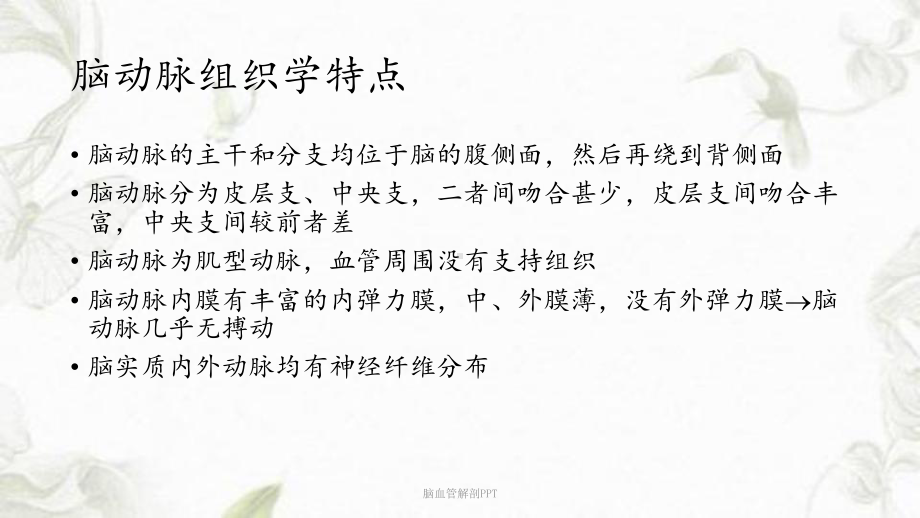 脑血管解剖课件-2.ppt_第1页