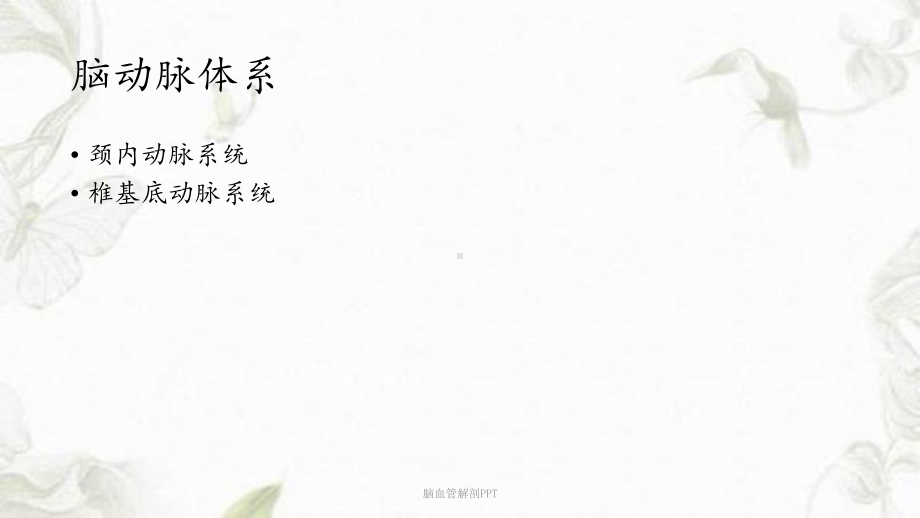 脑血管解剖课件-2.ppt_第3页