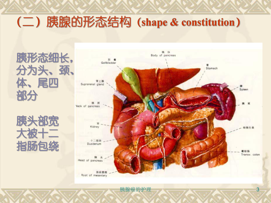 胰腺癌的护理课件.ppt_第3页