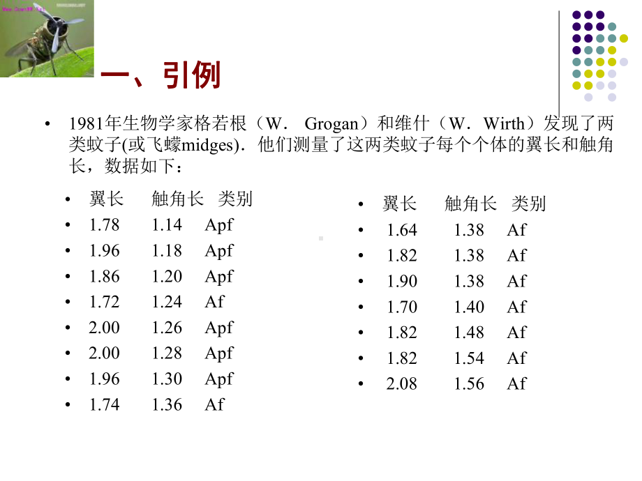 神经网络+数学建模型及算法-课件.ppt_第2页