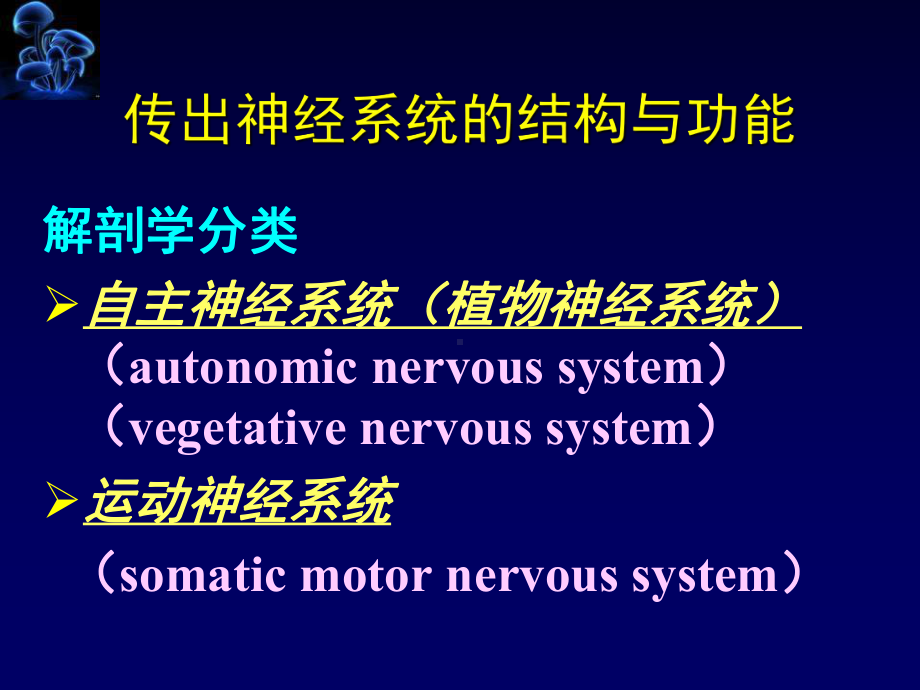 药理学-第4章-传出神经系统药理概论课件.ppt_第3页