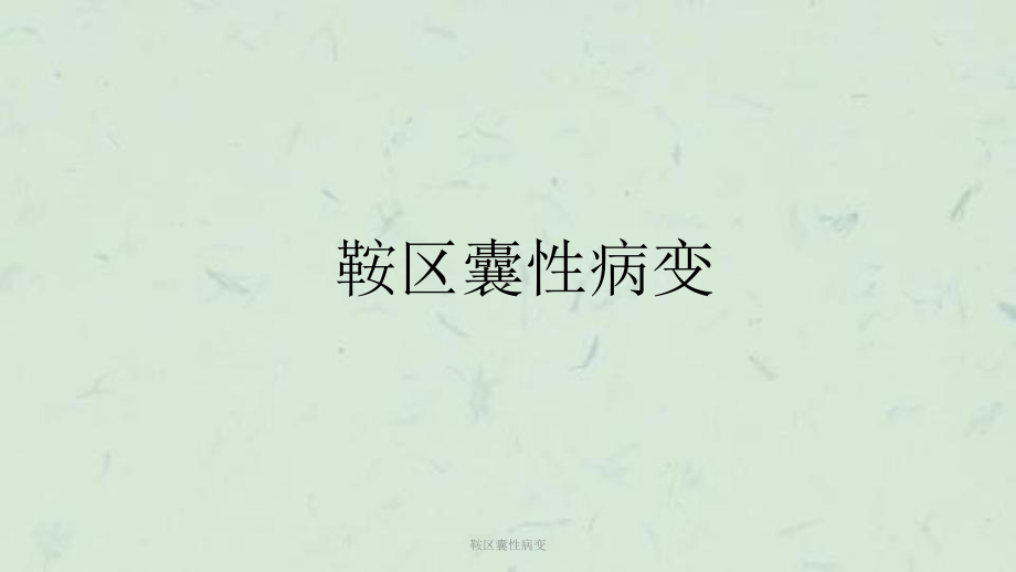 鞍区囊性病变课件.pptx_第1页