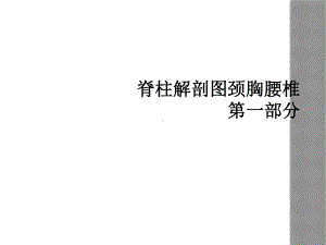 脊柱解剖图颈胸腰椎第一部分课件.ppt