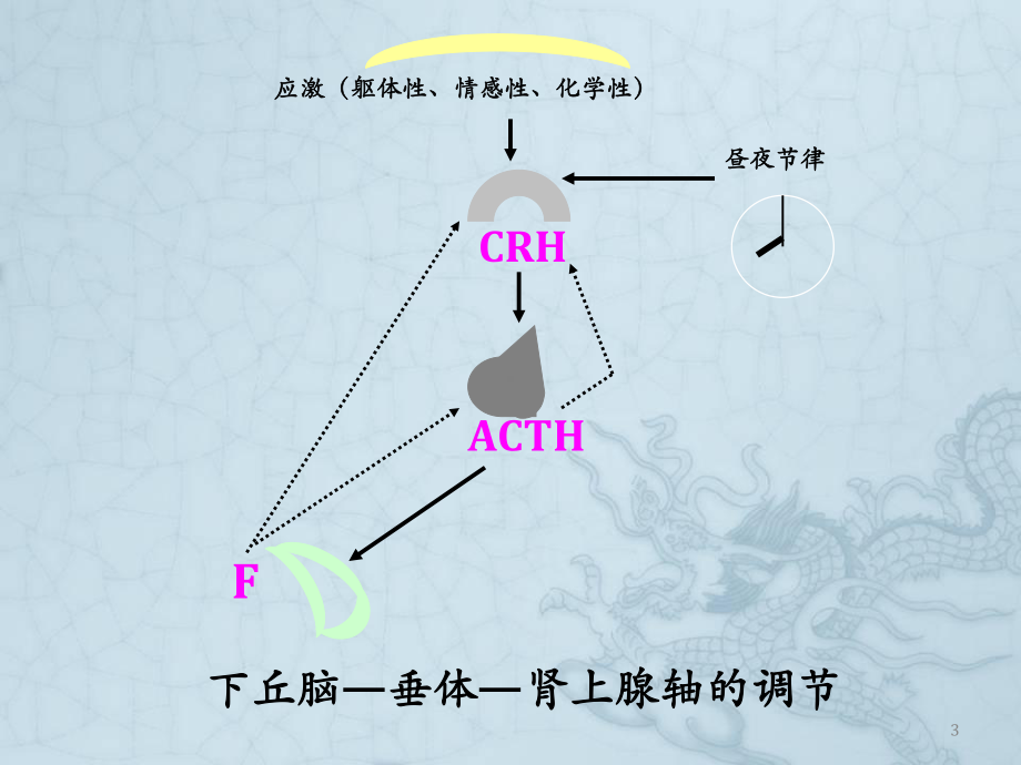 肾上腺皮质功能减退症诊断思路学习课件.ppt_第3页