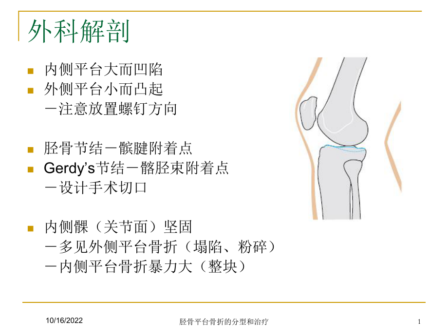 胫骨平台骨折的分型和治疗培训课件.ppt_第1页