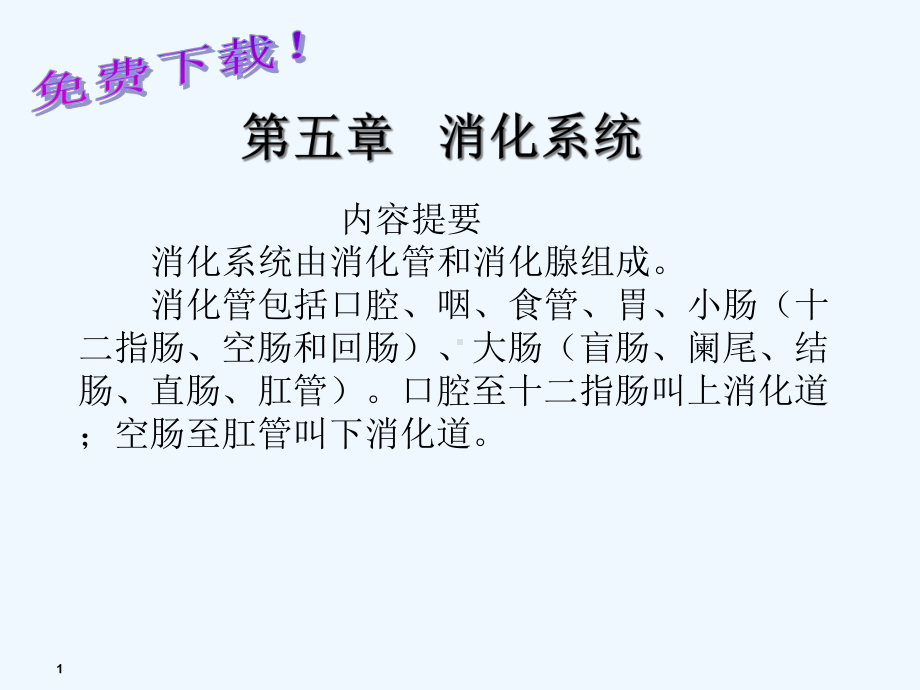 解剖学课件：消化系统.ppt_第1页