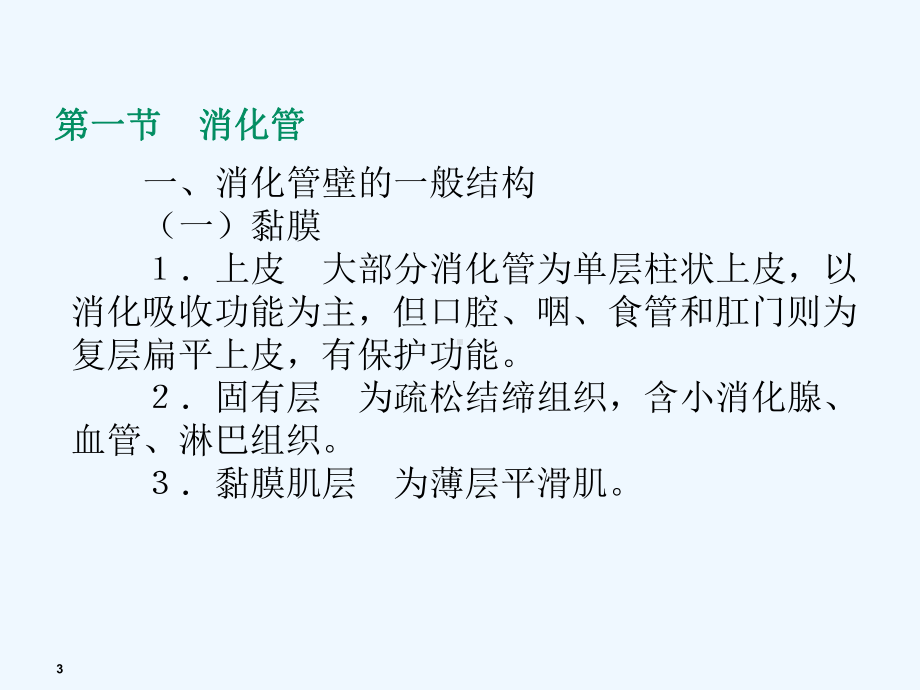 解剖学课件：消化系统.ppt_第3页