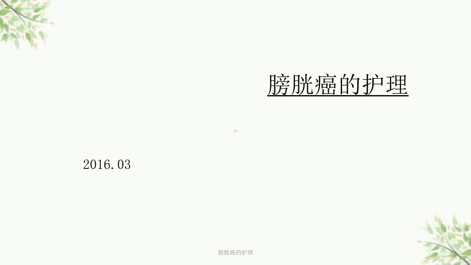 膀胱癌的护理课件.ppt_第1页