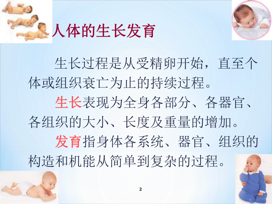 人体生长发育课件.ppt_第2页