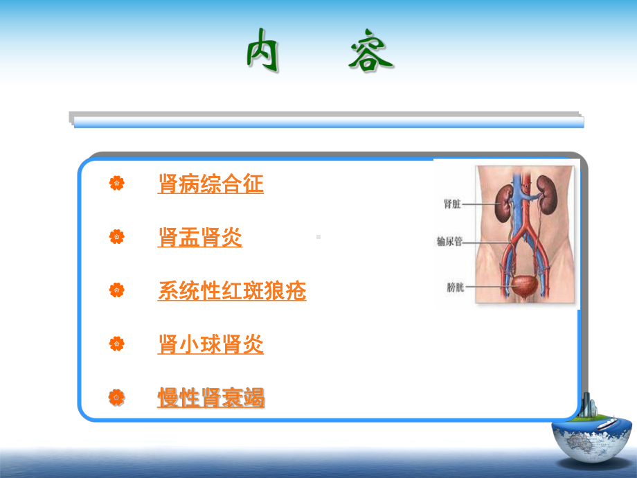 肾脏内科常见病患者的健康指导建议讲义课件.ppt_第2页