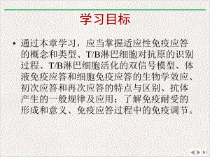 适应性免疫应答课件.pptx