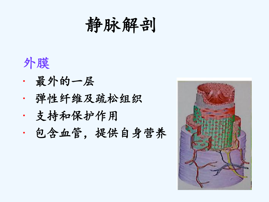 静脉输液常见并发症课件.ppt_第3页