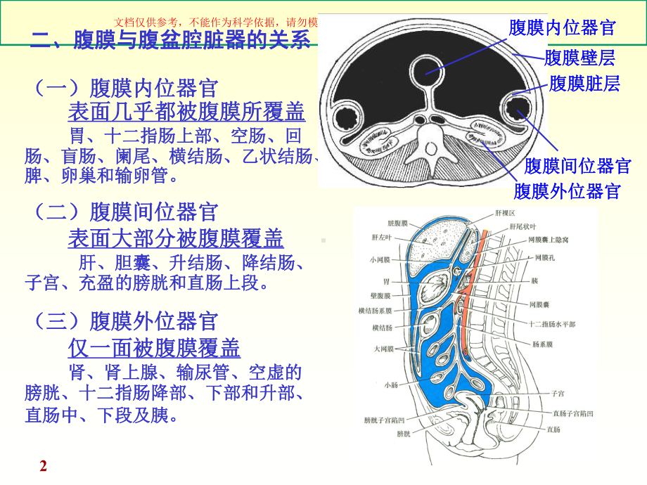 腹膜医学知识讲座培训课件.ppt_第2页