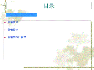 某品牌促销与渠道促销课件1.ppt