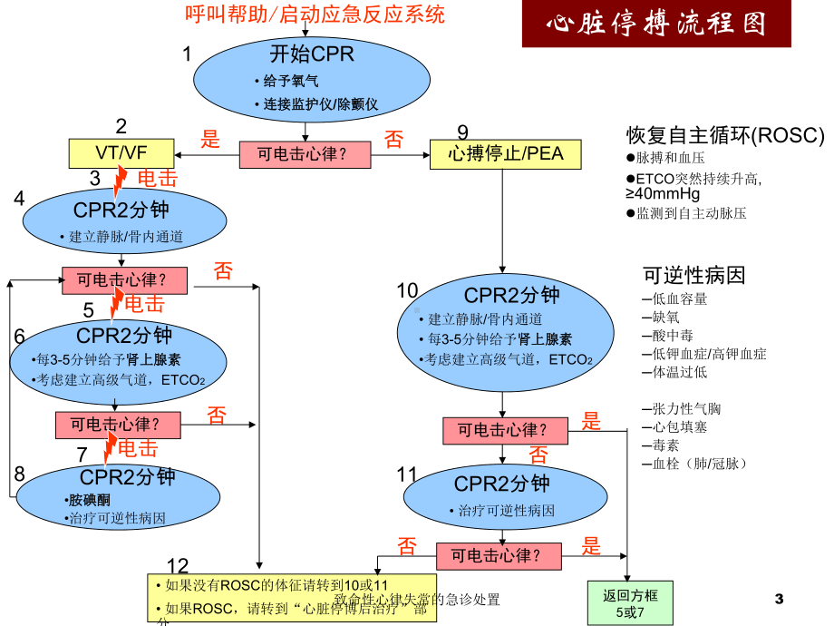 致命性心律失常的急诊处置培训课件.ppt_第3页