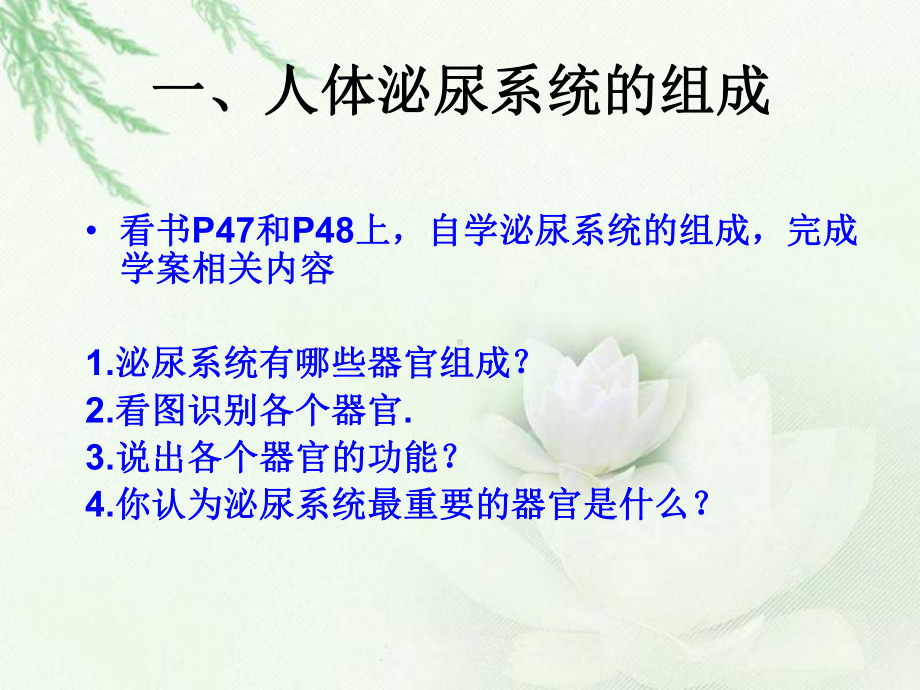 苏教版人体泌尿系统的组成课件2.ppt_第3页