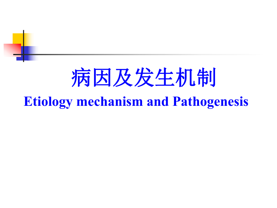 皮肤粘膜出血课件2.ppt_第3页