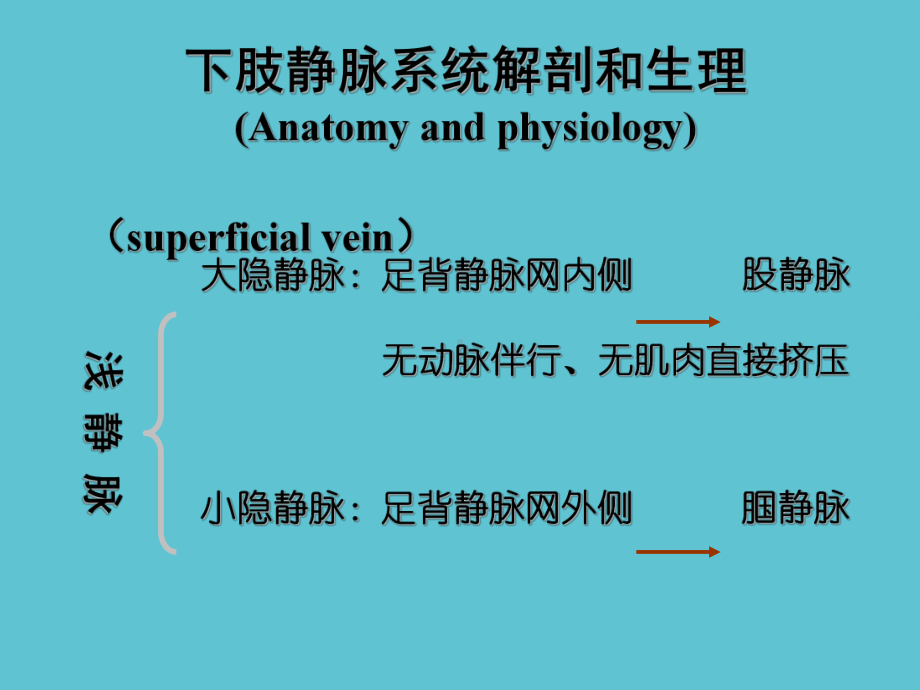 静脉曲张的护理课件-2.ppt_第3页