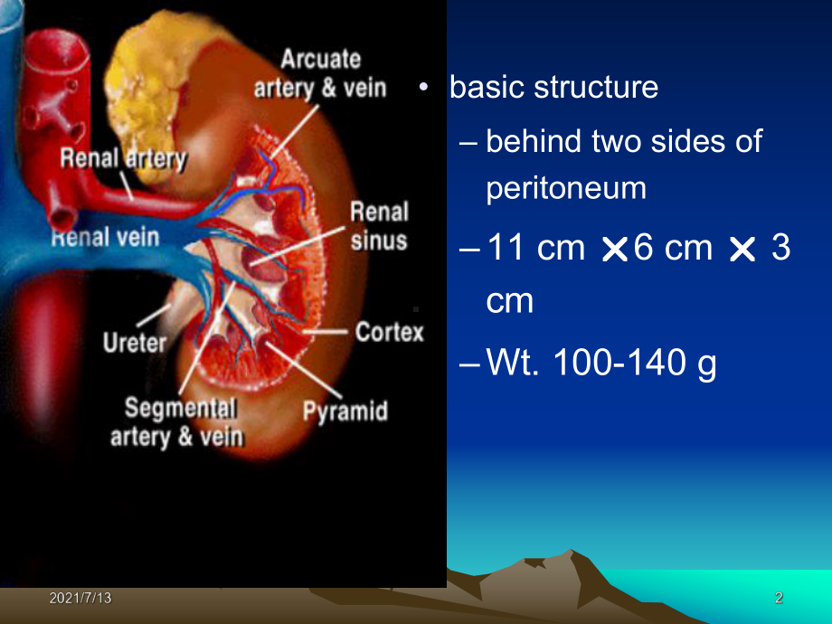 蛋白尿的诊断与注意事项课件.ppt_第2页