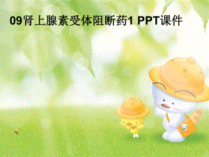 肾上腺素受体阻断药-课件.ppt