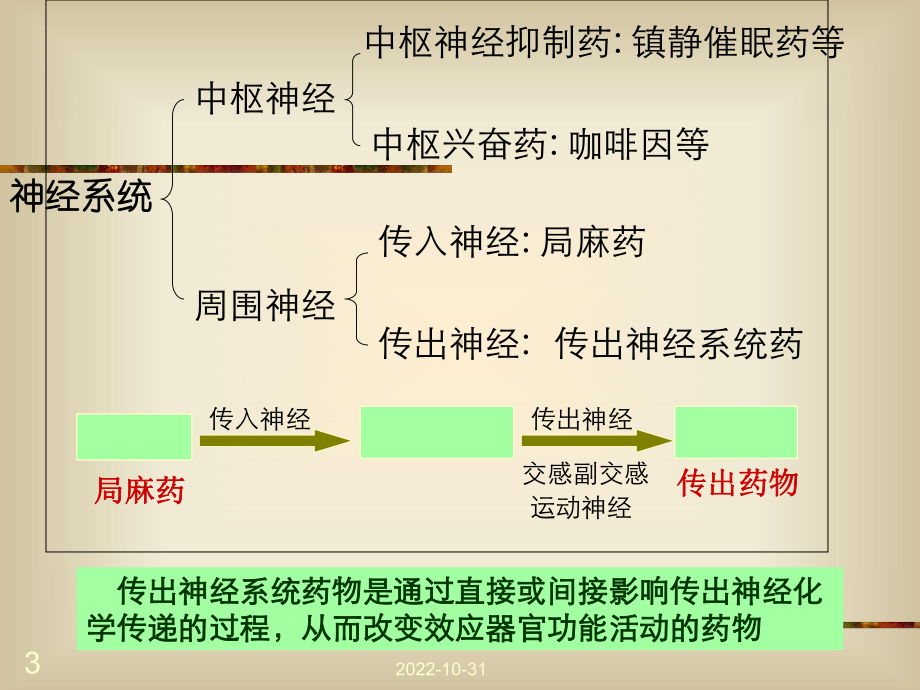 药物学基础-传出神经系统药课件.ppt_第3页