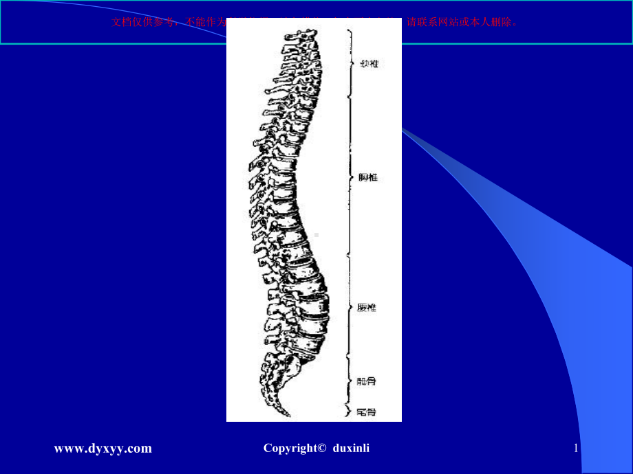 腰椎间盘突出症杜新利培训课件.ppt_第1页