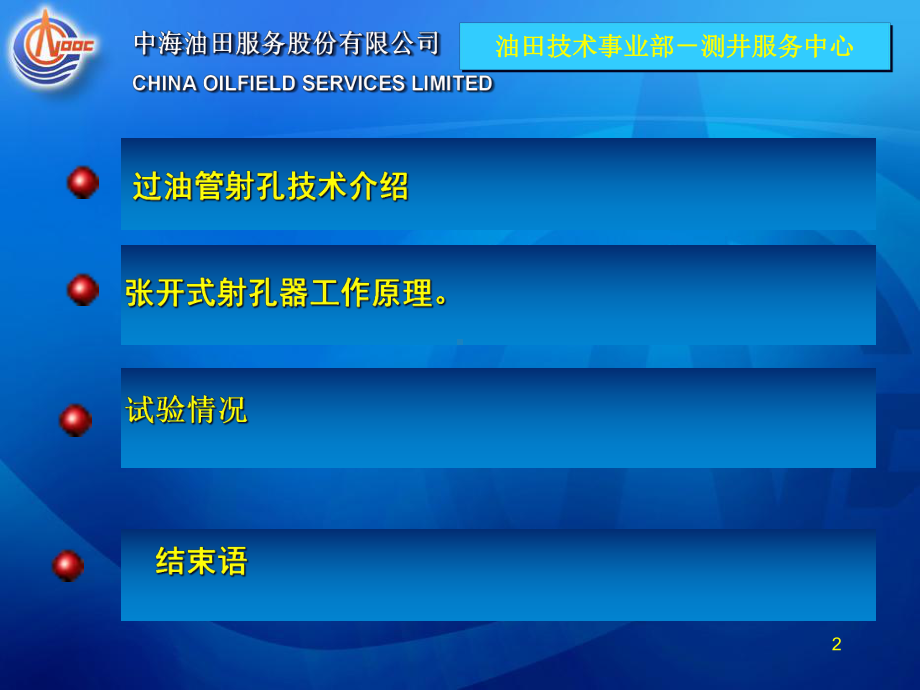 张开式射孔器材介绍概要课件.ppt_第2页