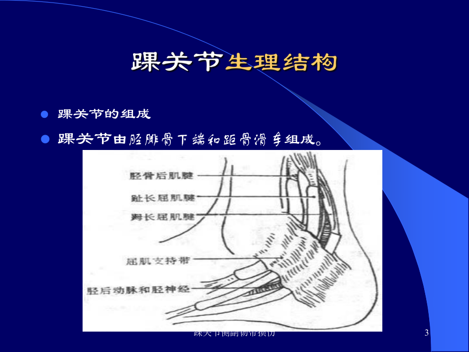 踝关节侧副韧带损伤课件.ppt_第3页