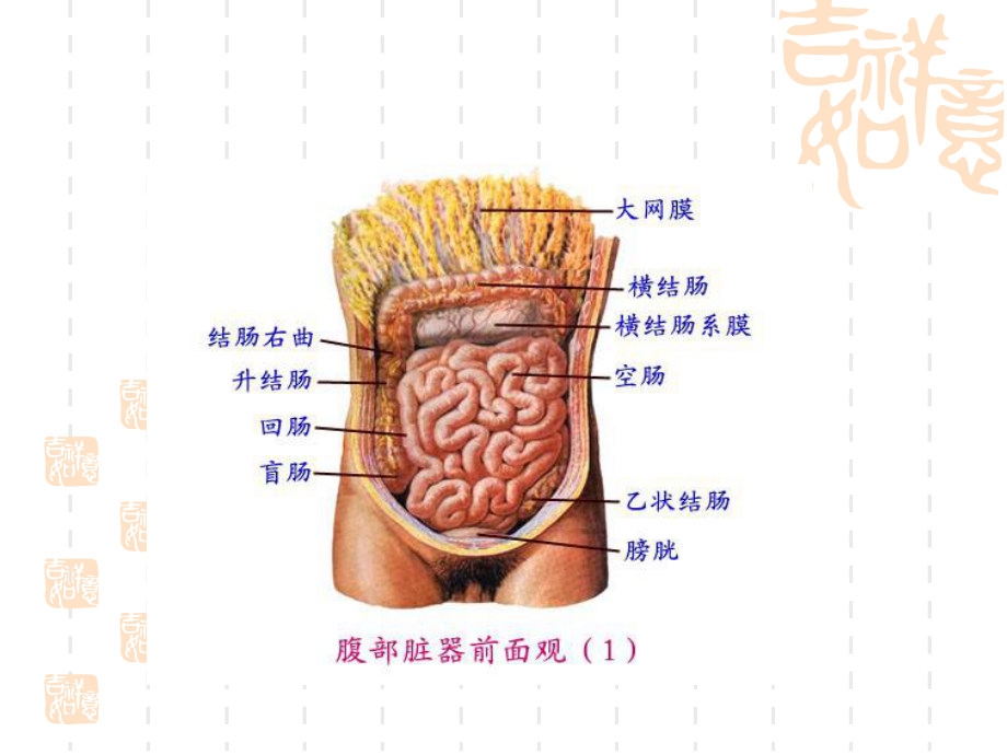 腹部刀刺伤课件.pptx_第2页