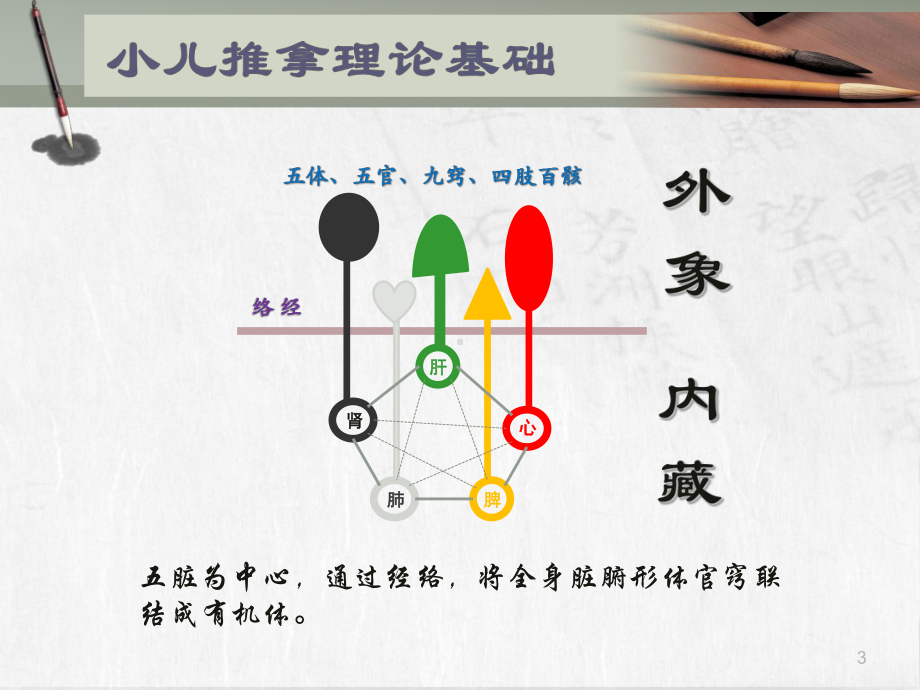 小儿推拿医学课件.pptx_第3页