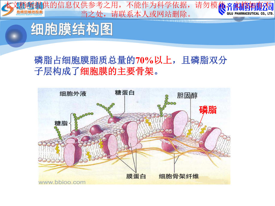 胞磷胆碱思考林在脑外科的应用培训课件.ppt_第3页