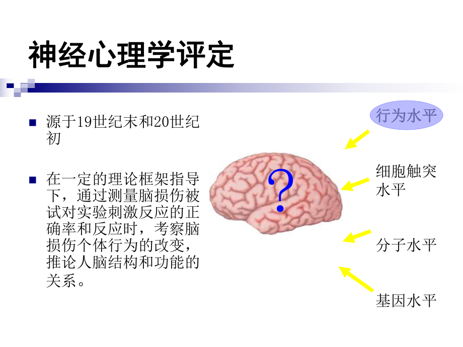 神经心理学测验课件.ppt_第2页