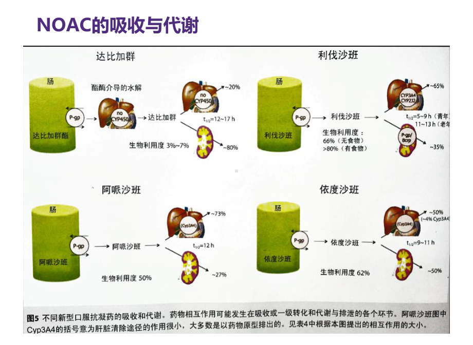 新型抗凝药物使用中的常见问题课件.ppt_第3页