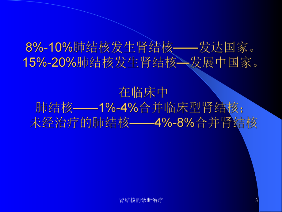 肾结核的诊断治疗课件.ppt_第3页